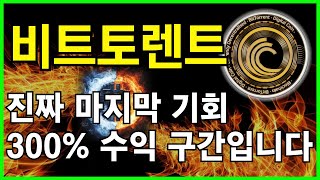 🔥비트토렌트 전문가🔥\