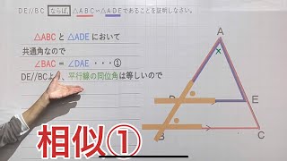 【中3数学】「相似」の証明①