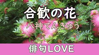 2021年5月7日『合歓の花／八神てんきゅう』  俳句LOVE