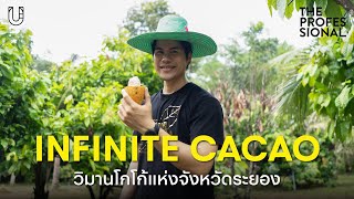 แปรรูปโกโก้ในโรงงานช็อกโกแลต Infinite Cacao | The Professional