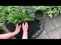 Florafelt Pro System Root Wrap Demonstration