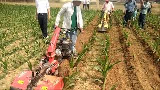 Maize weeder in Nepal