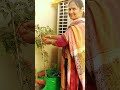 😍harvesting in my garden green onion🌱 tomato 🍅brinjal🍆 and coriander🌿🌿