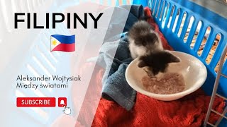 Filipiny - znajdujemy lokalny sklep budowlany i producenta okien 🙂 Siquijor