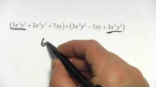 Combining Like Terms with Exponents
