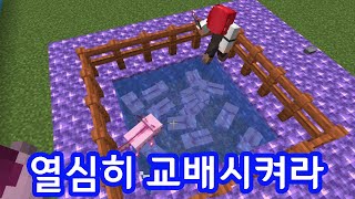 나도 만들 줄 안다 저거(마인크래프트)