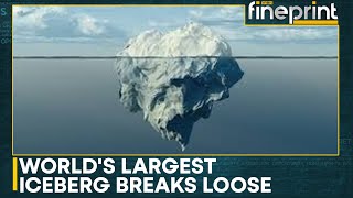 Giant Iceberg On Collision Course With Island | World News | WION Fineprint