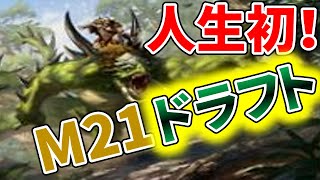 【MTGアリーナ】緑単アグロｖｓ赤緑アグロ、人生初のプレミアドラフト基本セット２０２１やってみた結果・・・【MTGA】【M21】