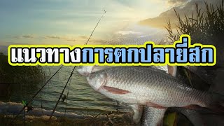 การตกปลายี่สก | เจ้ารถถังใต้น้ำ | หมายธรรมชาติ |