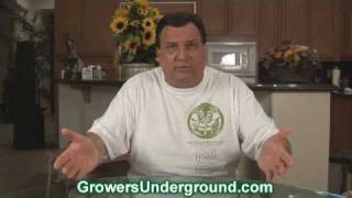 Advanced Nutrients Big Mike Recommends Competitor's Product