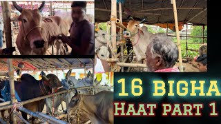 SANSTOSPUR HAAT||16 BIGHA YA 16 AANA?||FULL UPDATE WITH PRICE||CHAKALLAS MAMALOG||COWSOFKOLKATA😎