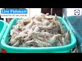 లైవ్‌ ఫిష్‌మార్ట్‌@ చైతన్యపురి live fish mart chaitanypuri hyderabad namasthetelangana