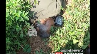 Two Maoists killed in Nilambur; Visuals leaked