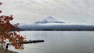 Cycling Sights: Fuji-Kawaguchiko Autumn Leaves Festival