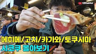 에히메, 고치, 카가와, 토쿠시마 l 시코쿠 여행 몰아보기