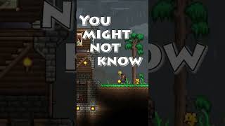 Beginner Terraria Tips and Tricks | Inventory Management