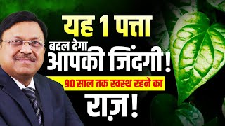 यह पत्ता नहीं, सेहत का खजाना है! 90 साल तक स्वस्थ रहने का राज़! | Dr. Bimal Chhajer | SAAOL