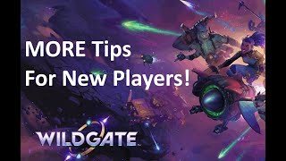 Wildgate: MORE Tips for New Players #2