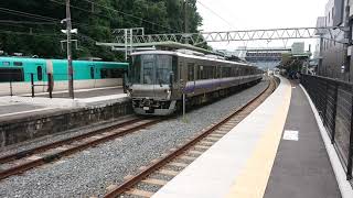 湯浅駅の全てのホームに電車がいる光景