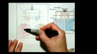 U6Wk1Lec3Pt2seg1 ancathode