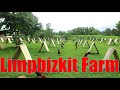 Lets Visit The Farm Of Limpbizkit Farm