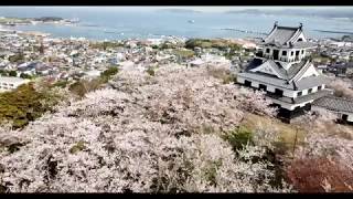 2018年　春の館山城と鏡ヶ浦眺望