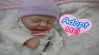 all4reborns adoption center