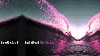 Buckethead - Swomee Swan