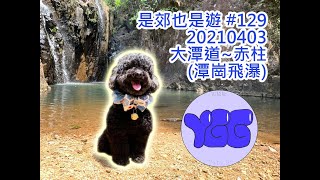 是郊也是遊 #129 20210403 大潭道~赤柱 (潭崗飛瀑)