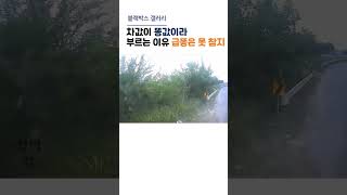 차값이 똥값이라 부르는 이유 #shorts