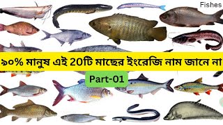 ৯০% মানুষ এই 20টি মাছের ইংরেজি নাম জানে না I ছবিসহ ইংরেজিতে 20টি মাছের নাম শিখুন I Part-01