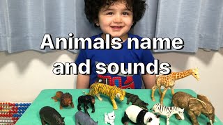 動物の名前を英語で学ぼう！【英語 子供向け】かわいい どうぶつ 子供向け キッズ  Let's learn Animals name and sounds. for kids.