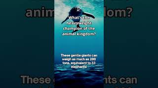 Which animal weigh as much as 200 tons, equivalent to 33 elephants?