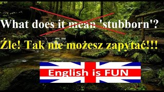 What does it mean....?  Źle! Tak nie możesz powiedzieć!  Jak zapytać o znaczenie słowa? j. angielski