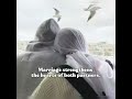 beauty of islamic marriages islamiclove halallove sunnah