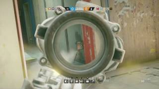 [R6S ﾚｲﾝﾎﾞｰｼｯｸｽｼｰｼﾞ]野良で仲良し　結果は死