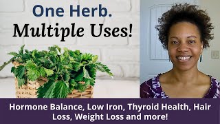 Benefits Of Stinging Nettle for Hormone Balance, Low Iron, Hair Loss, Weight Loss, Thyroid