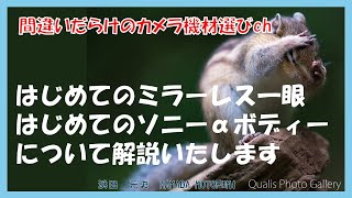 間違いだらけのカメラ機材選びch 「はじめてのミラーレス一眼はじめてのソニーαボディーについて解説いたします」