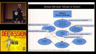 Rethinking Stress: The Role of Mindsets in Determining the Stress Response