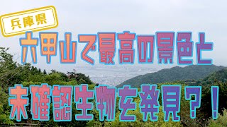 【兵庫県】【晴れの日の景色は最高】「六甲山」のハイキングコース