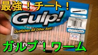 【反則？】ガルプ！ワーム買ってきた【道具紹介】