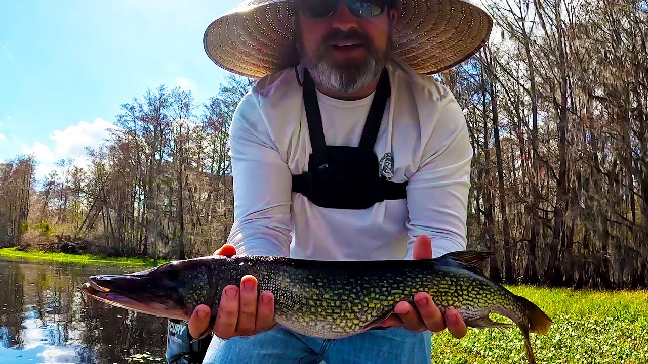 This Was My BIGGEST FISH Ever Caught While Jigging For Crappie! - YouTube