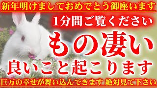 ※新年明けましておめでとうございます🎍※この動画を再生できる方は1万人に1人。巨万の幸せが近いサインです🐇開運波動 幸運体質 金運上昇祈願