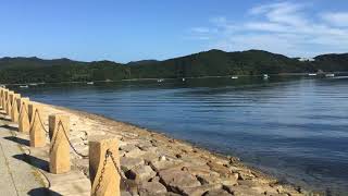 鳴門日記2 夏の鳴門ウチノ海総合公園の散策です．A walk in Naruto Uchinoumi General Park in summer.