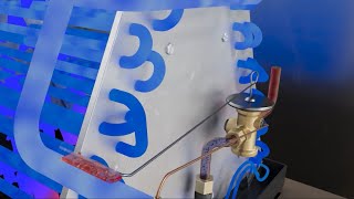 TXV - 3D animation
