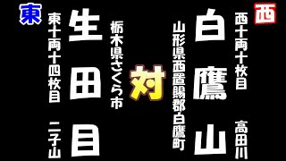 大相撲一月場所十一日目　白鷹山（2025-01-22）