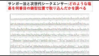 14 サンガー法と次世代シークエンサー:どのような塩基を何番目の鋳型位置で取り込んだかを調べる