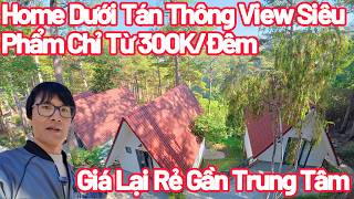 Đà Lạt Homestay Rẻ View Siêu Phẩm Dưới Tán Thông Quá Đẹp