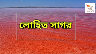 লোহিত সাগর-লোহিত সাগরের ইতিহাস-Red Sea-Ko Te Kuri