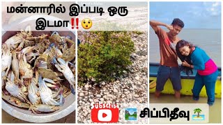 மன்னாரில் இப்படி ஒரு இடமா😲....🦀 சிப்பி தீவு🦐 #viralvideo #tamilvlogs #ldr #longdistancerelationship